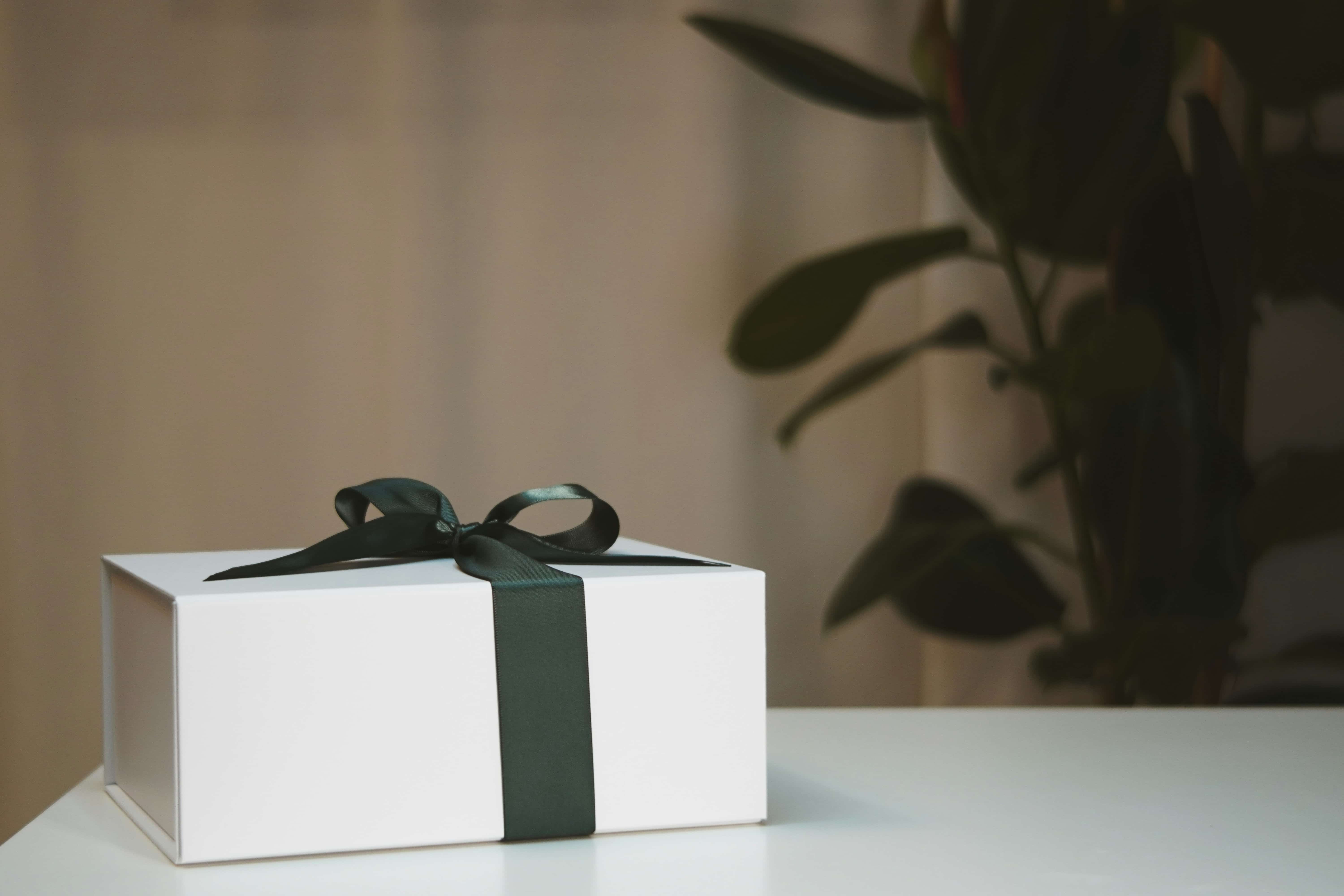 John Vid Q6Dneknz3gk Unsplash 1 1
